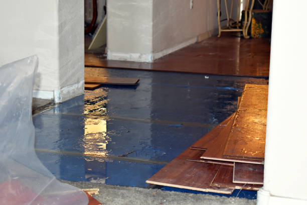 Professional Burst Pipe Cleanup technician working in Caruthers, CA